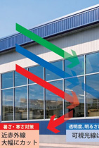 エコガラスコート