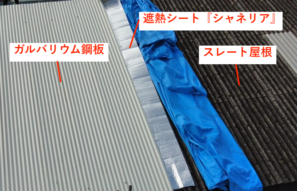 シャネリアの挟み込み